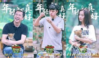 娱乐圈向往的生活,揭秘明星们的向往生活